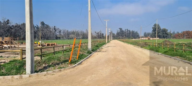VENDO PARCELA, Condominio DON LADISLAO, TREBULCO, Talagante