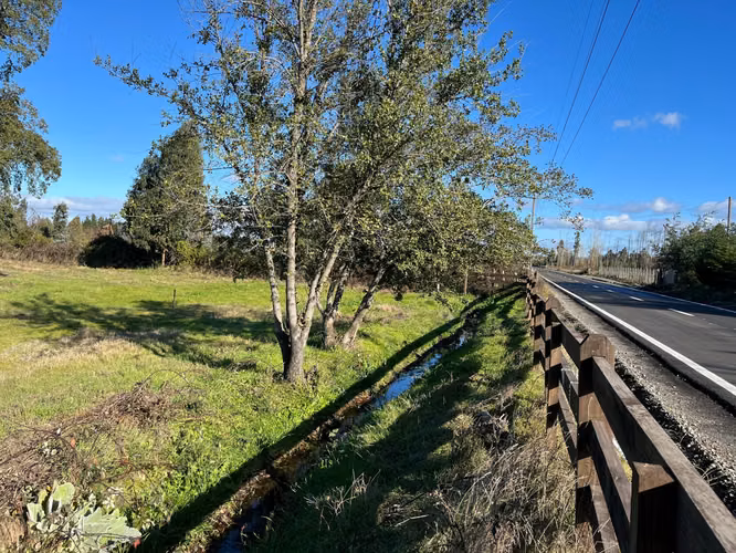 PARCELAS CON AGUA POTABLE,  EMPALME ELECTRICO  Y ACCESO A RÍO BIOBÍO