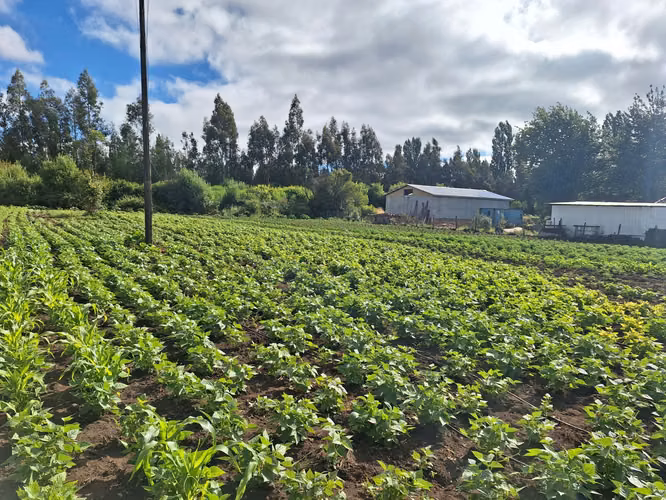 PARCELA A ORILLAS DE CARRETERA  EN LOS ÁNGELES