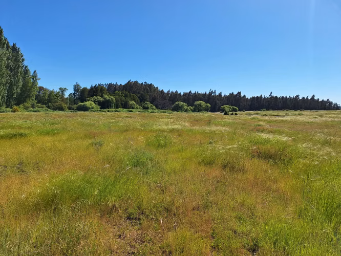 PARCELAS AGRORESIDENCIALES DE 5.000 M2 A 5 MINUTOS DE LOS ÁNGELES - Imagen 17