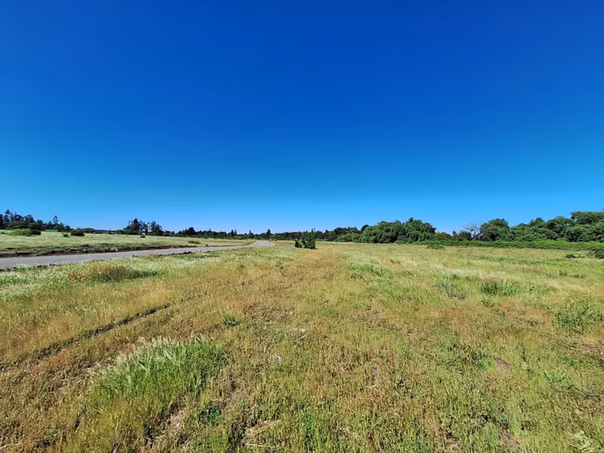 PARCELAS AGRORESIDENCIALES DE 5.000 M2 A 5 MINUTOS DE LOS ÁNGELES - Imagen 3