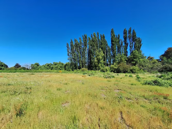 PARCELAS AGRORESIDENCIALES DE 5.000 M2 A 5 MINUTOS DE LOS ÁNGELES - Imagen 13