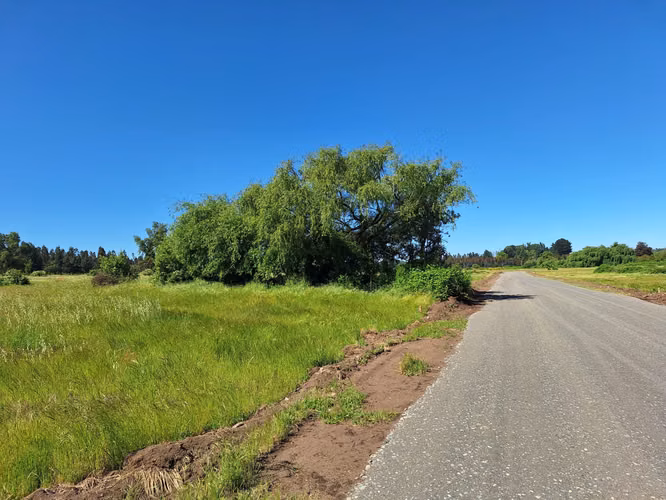 PARCELAS AGRORESIDENCIALES DE 5.000 M2 A 5 MINUTOS DE LOS ÁNGELES - Imagen 8