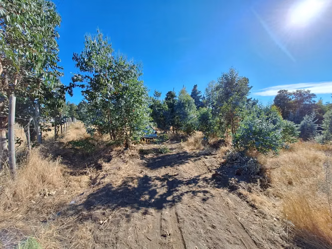 PARCELA DE 14.000 M2  A ORILLAS DE ESTERO