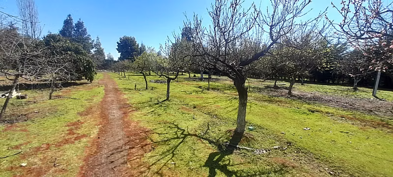 HERMOSA PROPIEDAD EN PARCELA 6000 M2 ALTO LAS CRUCES TALCA