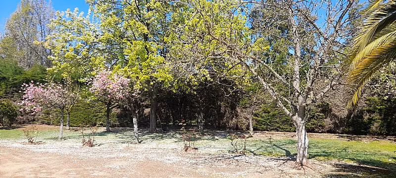 HERMOSA PROPIEDAD EN PARCELA 6000 M2 ALTO LAS CRUCES TALCA