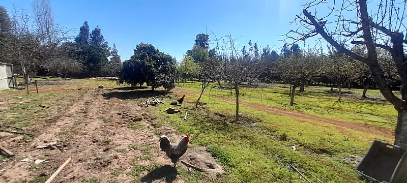 HERMOSA PROPIEDAD EN PARCELA 6000 M2 ALTO LAS CRUCES TALCA
