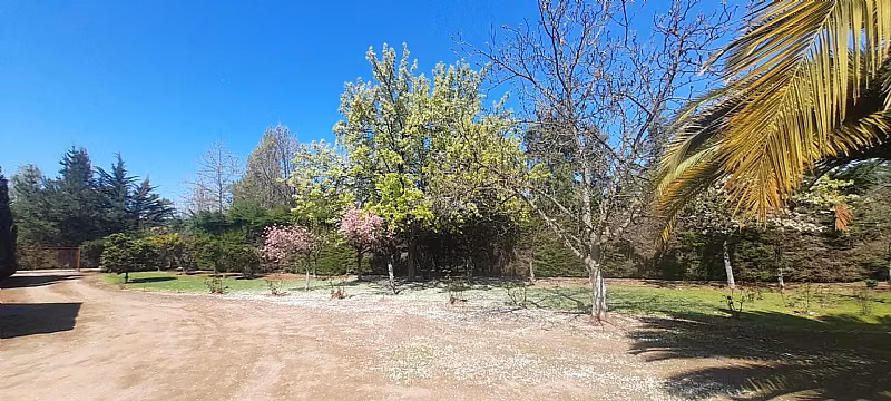 HERMOSA PROPIEDAD EN PARCELA 6000 M2 ALTO LAS CRUCES TALCA