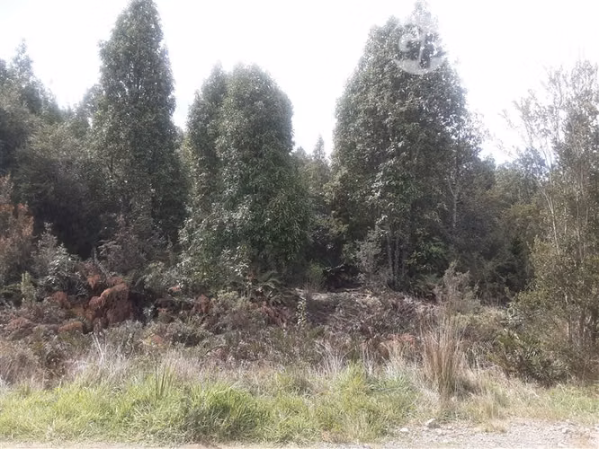 Parcela en venta en Puerto Varas - Imagen 6