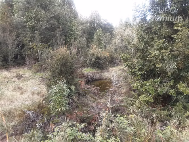 Parcela en venta en Puerto Varas - Imagen 2