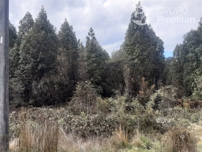 Parcela en venta en Puerto Varas - Imagen 5