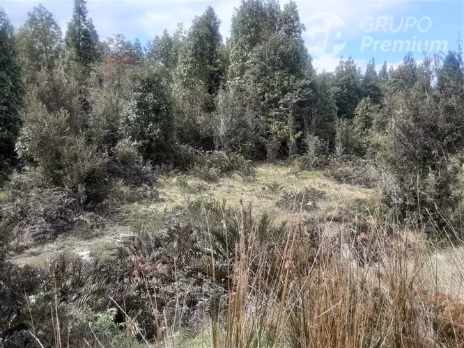 Parcela en venta en Puerto Varas - Imagen 3