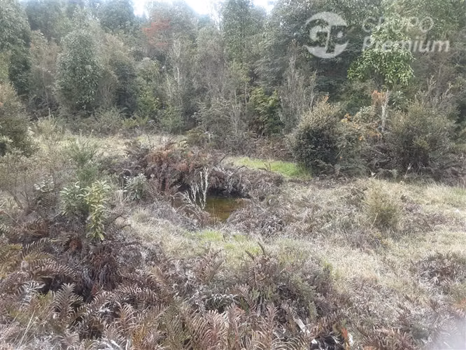 Parcela en venta en Puerto Varas