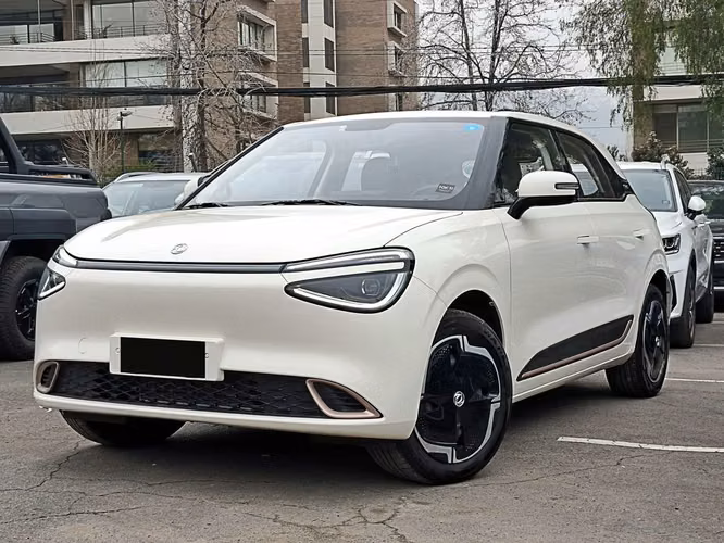 DONGFENG NAMMI 2026