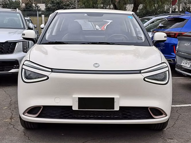 DONGFENG NAMMI 2026