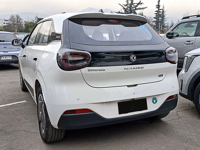 DONGFENG NAMMI 2026