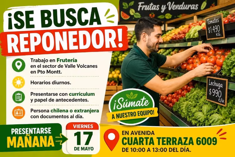 Reponedor
