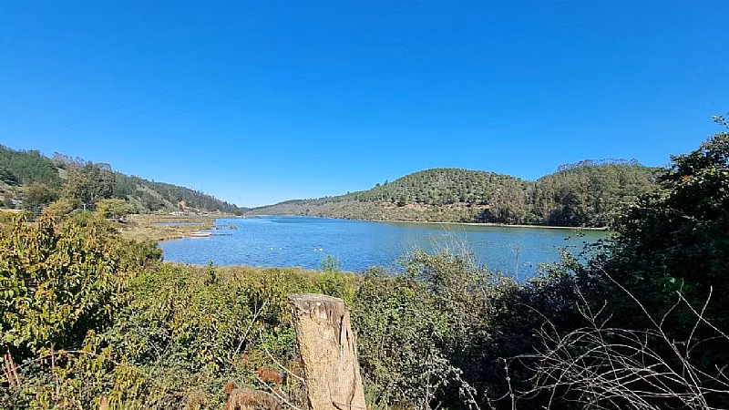 RESERVA LAS SALINAS DE CAHUIL, PICHILEMU - Imagen 4