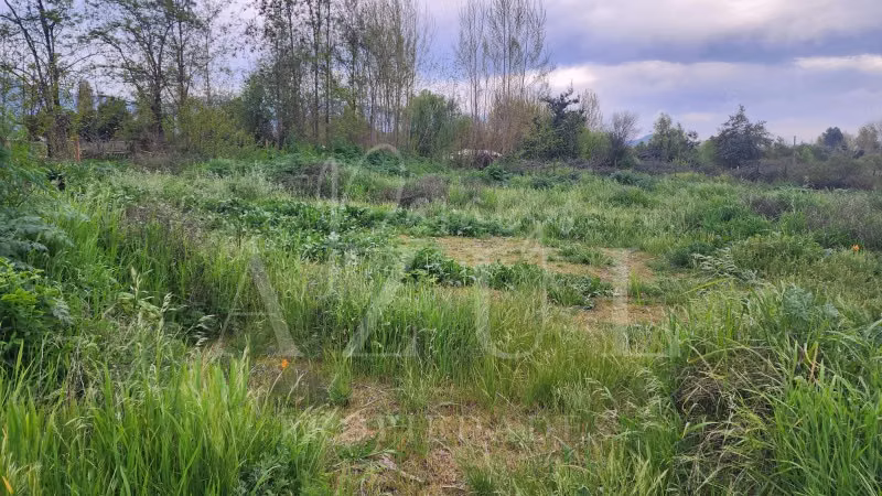 Parcelas en Coltauco 5.600 m² 100% planas rol prop