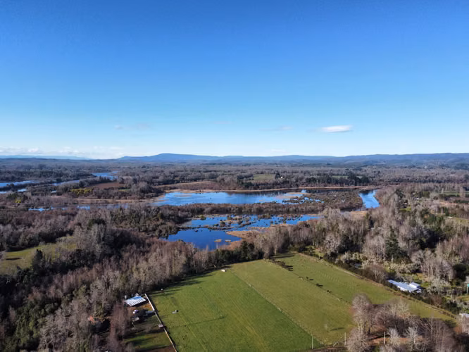 VENTA PARCELA CON 5 CABAÑAS – SECTOR TRALCAO, VALDIVIA - Imagen 6