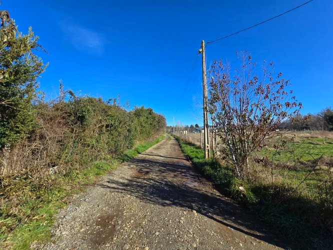 VENTA PARCELA CON 5 CABAÑAS – SECTOR TRALCAO, VALDIVIA - Imagen 16