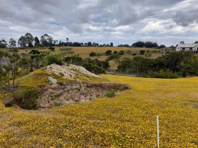 VENTA PARCELA 5 HECTARIAS EN ALGARROBO