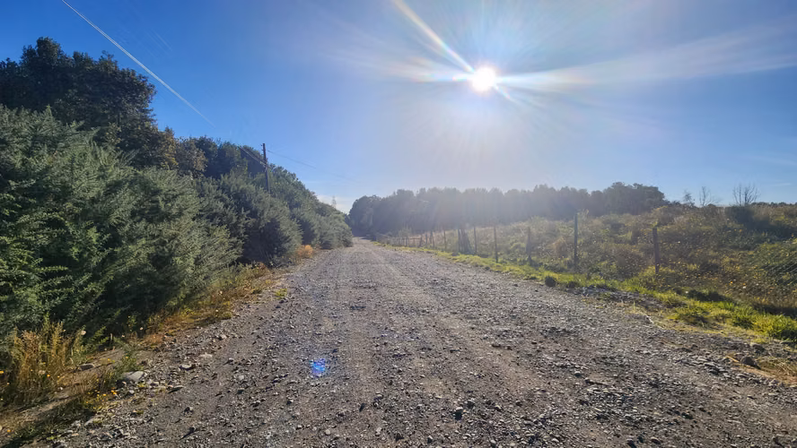Venta de Terreno con Cabaña Ruta V-852, Camino Isla de Chiloé