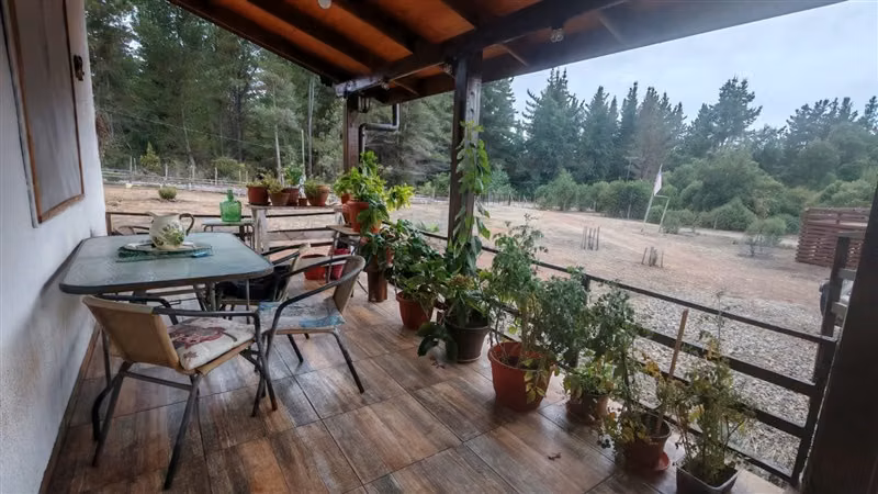 Venta Casa 137 m2 en parcela de 5.250 m2, Digua - Parral - Imagen 14