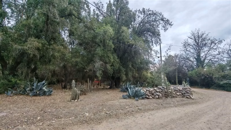 Parcela de 5.000 m2 en venta en Pirque - Imagen 8