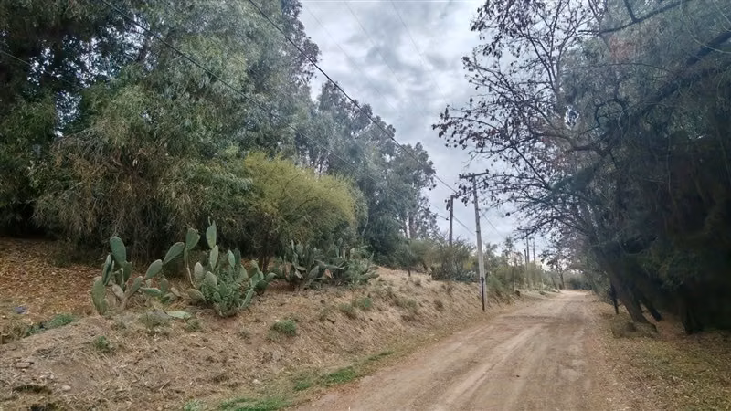 Parcela de 5.000 m2 en venta en Pirque - Imagen 3