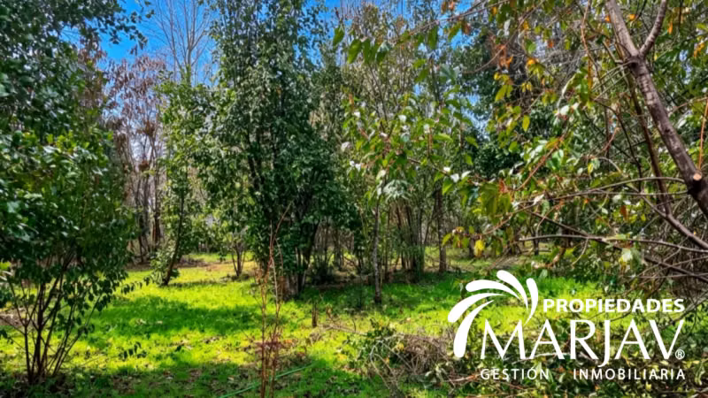 Venta casa + Cabaña 4D 3B , km 11 villarrica a Pucón