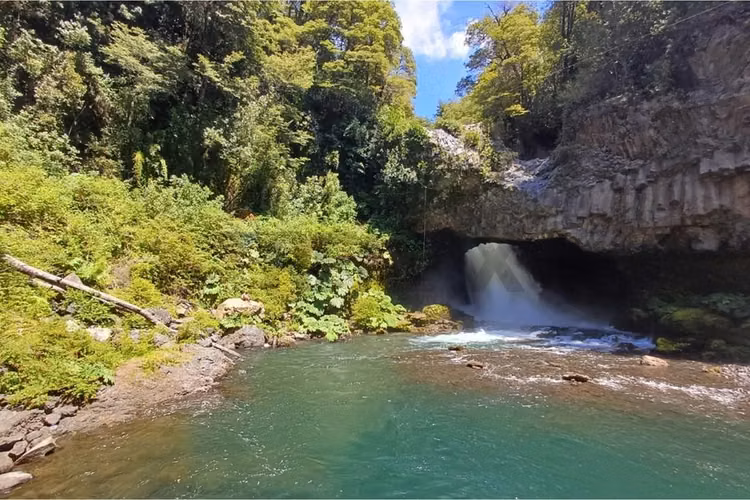 Parcelas en el paraíso de palguin alto