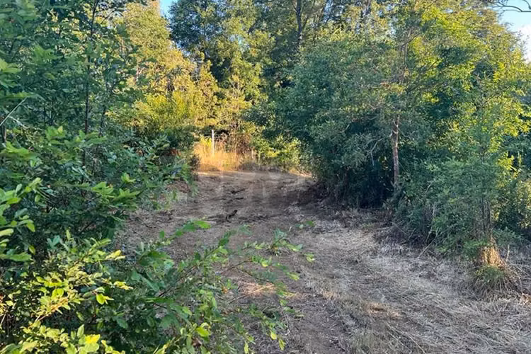 Venta de parcela en pucón vista al lago. - Imagen 21