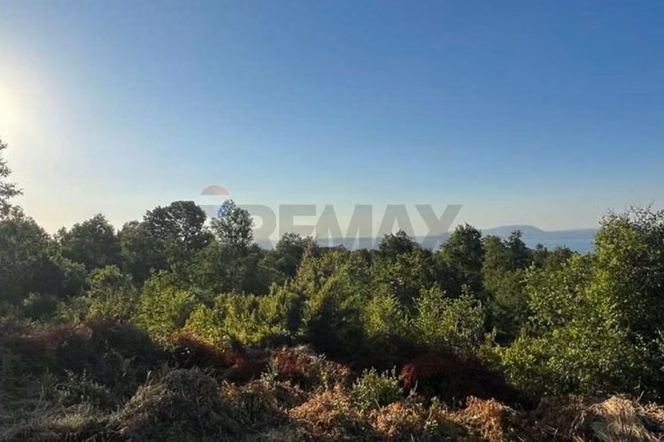 Venta de parcela en pucón vista al lago. - Imagen 17