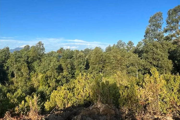 Venta de parcela en pucón vista al lago. - Imagen 13