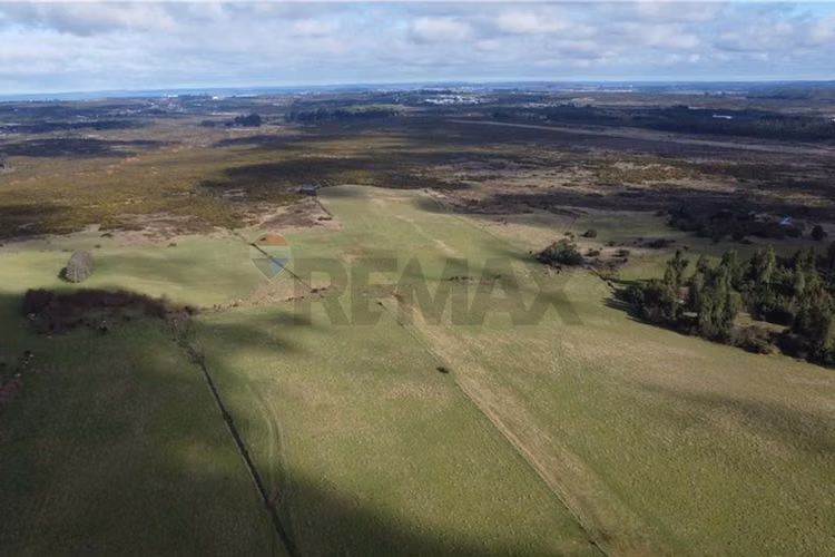 Campo 621 hectáreas en puerto varas