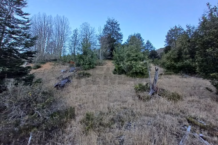 Parcelas en palguin alto