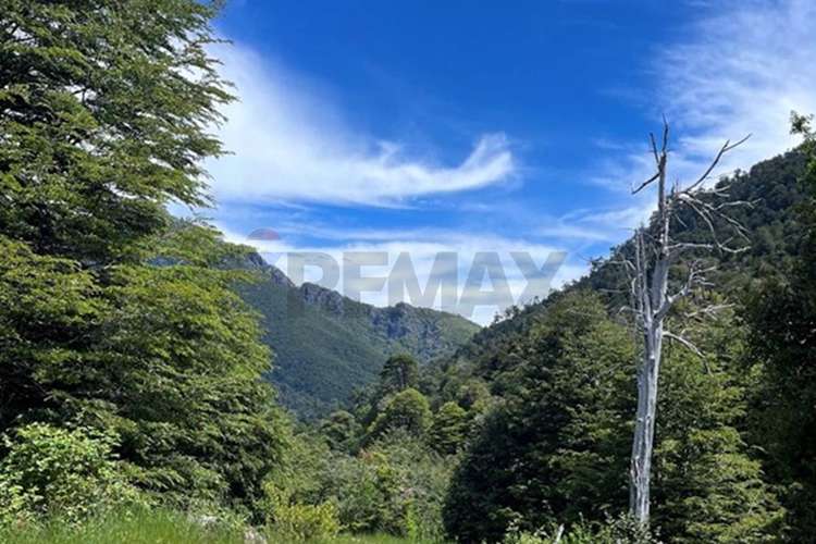Venta 500 hectáreas campo en pucón - Imagen 16