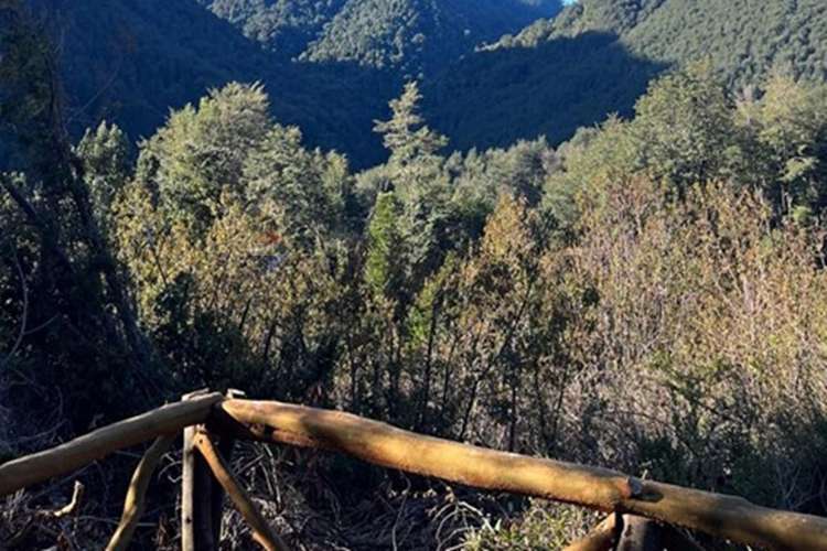 Venta 500 hectáreas campo en pucón - Imagen 17