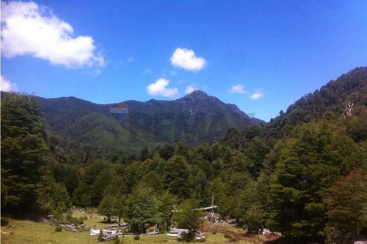 Venta 500 hectáreas campo en pucón - Imagen 4