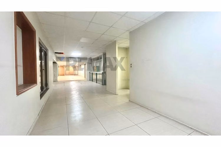 Oficina | metro los leones | 1.240 m²