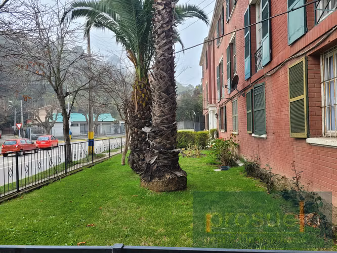 IMPECABLE DEPARTAMENTO ANTIGUO GRAN UBICACION SPORTING