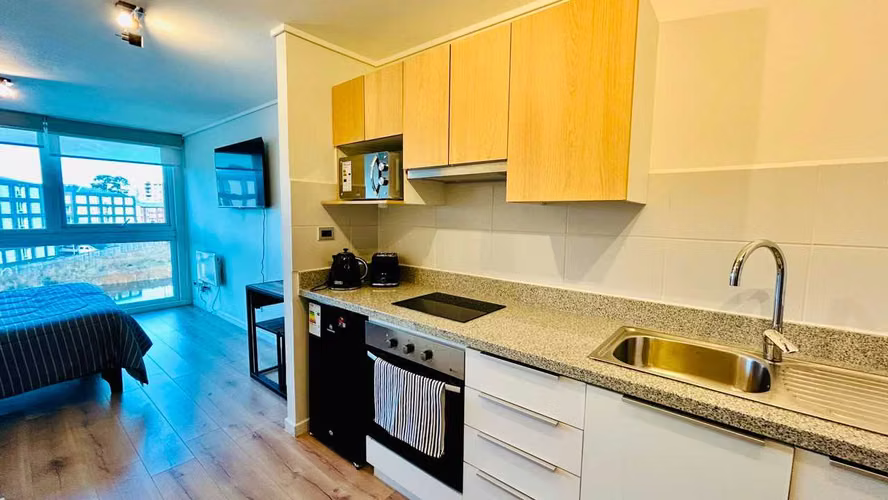 DEPARTAMENTO ESTUDIO AMOBLADO, SMARTFRANCIA (178915)