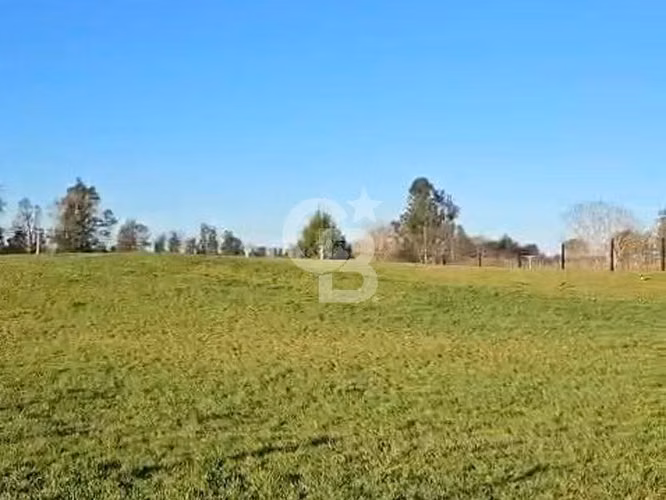 Parcela con Vista privilegiada al Volcán Osorno