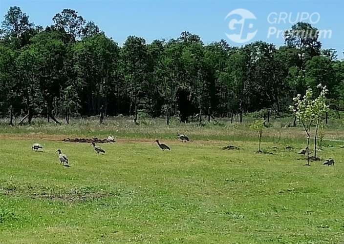 Parcela en Venta en La Unión - Imagen 3