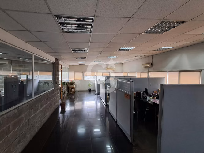 Propiedad Industrial: Gran oportunidad Marathon - Imagen 6