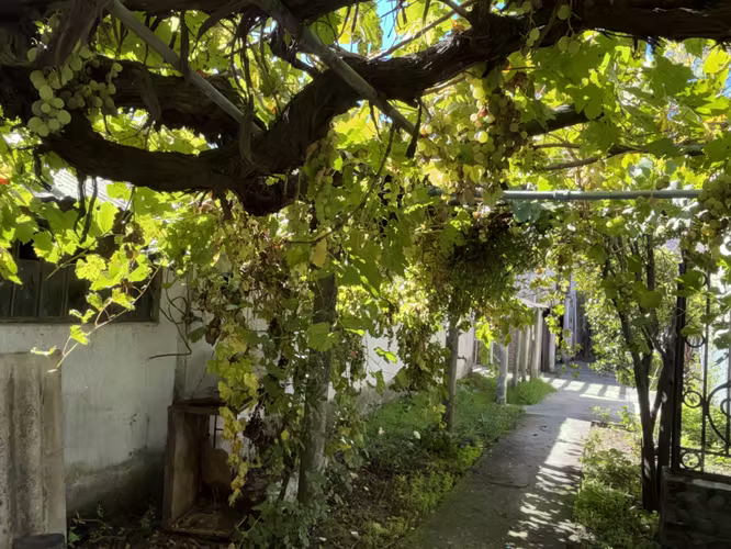 Casa en terreno de 10.000 m2, Cerca de Los Ángeles, Región del Bio Bio