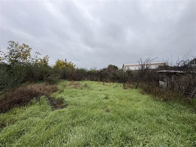 Sitio 1.300 m2 en Chillán Viejo