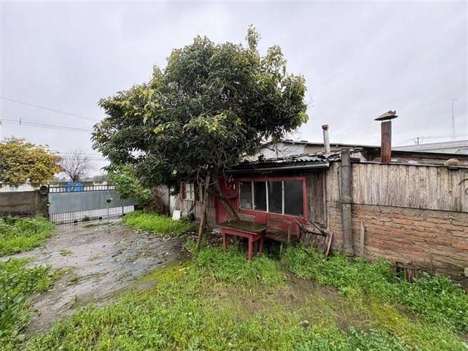 Sitio 1.300 m2 en Chillán Viejo