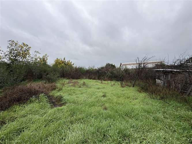 Sitio 1.300 m2 en Chillán Viejo